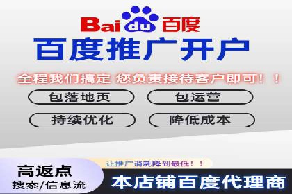 某电商平台的SEM推广策略及效果分析